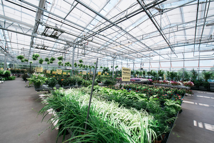 20160722ESP_8093.jpg Niagara Produce